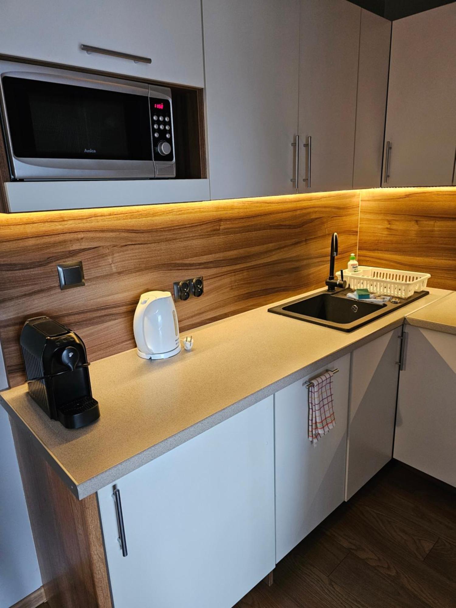 Apartament Apartament z Widokowym Tarasem Kościelisko Zewnętrze zdjęcie
